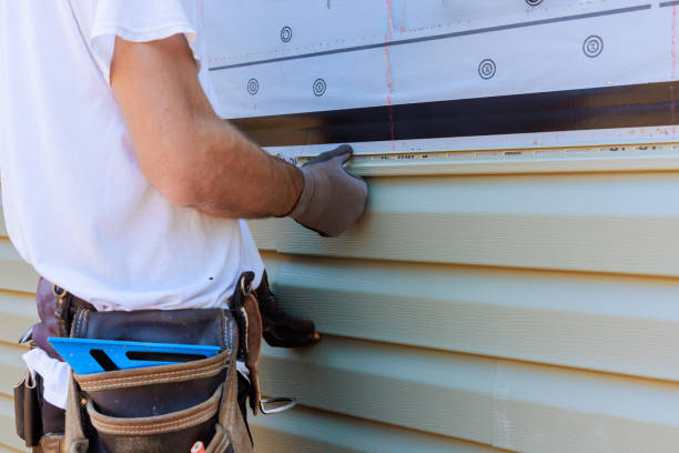 Affordable Emergency Siding Repair solutions in North Lewisburg, OH
